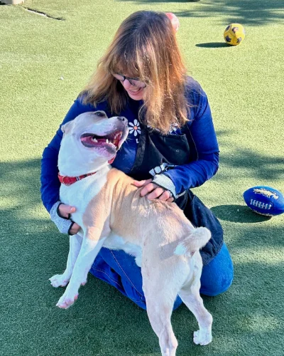 Volunteers socializing dog at Sunday School