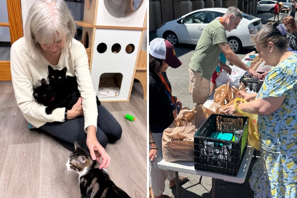 Kitty Korner volunteer and SNAP Program volunteers distributing pet food