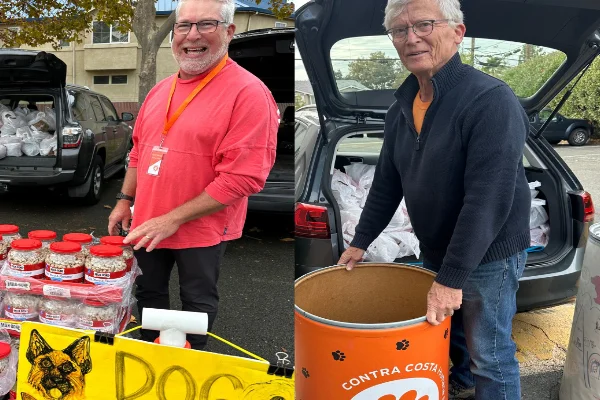 volunteers helping with food donation and distribution