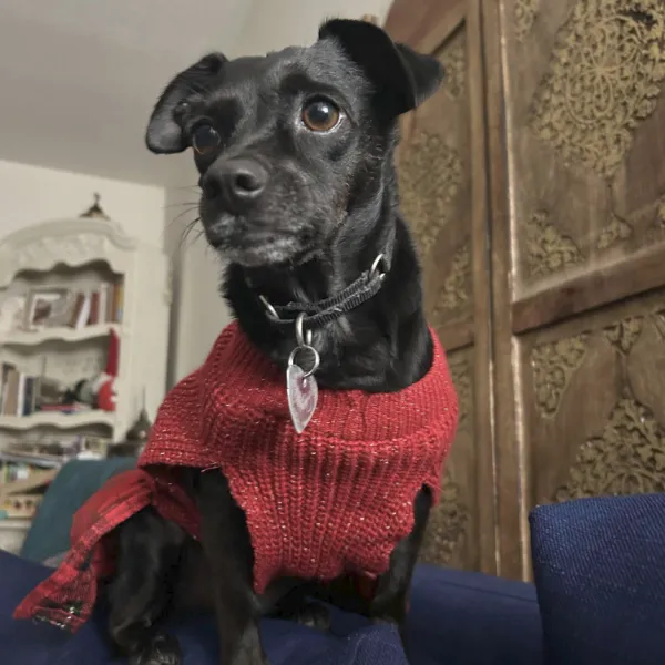 Coco