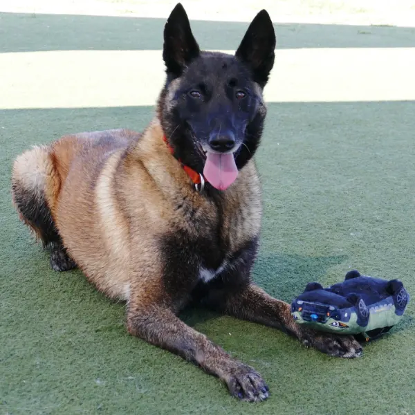 Kona