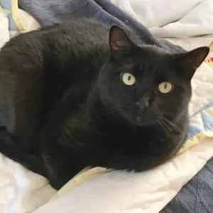 Ragnar
