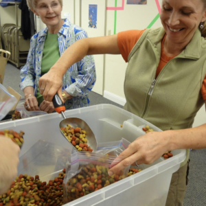 volunteer portioning food for Animeals program