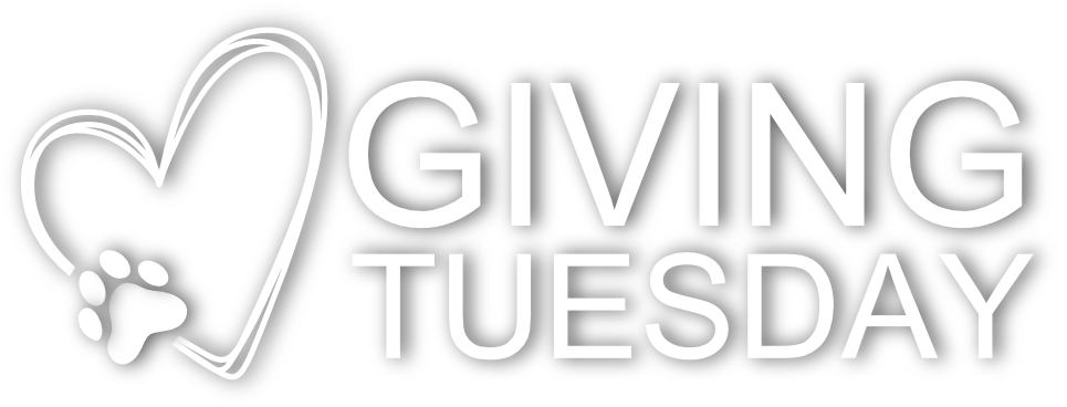 Giving Tuesday logo