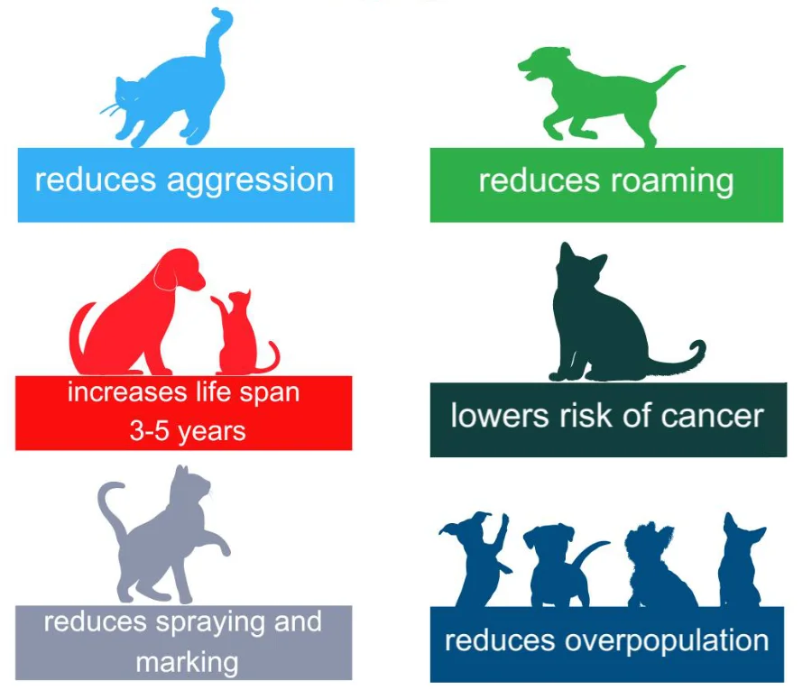 graphic showing benefits of spay and neutering